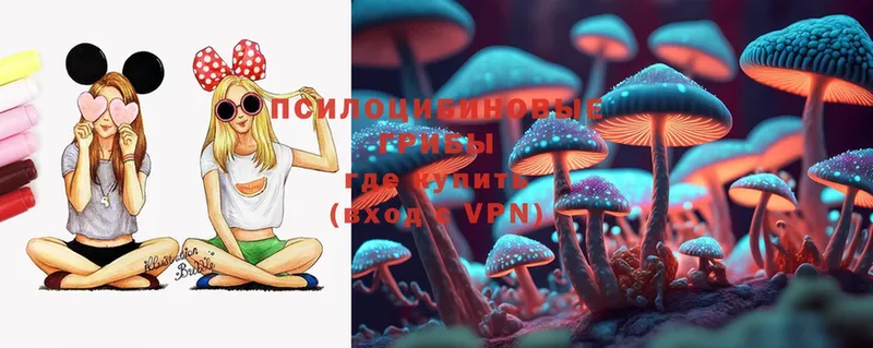 Псилоцибиновые грибы MAGIC MUSHROOMS  Братск 